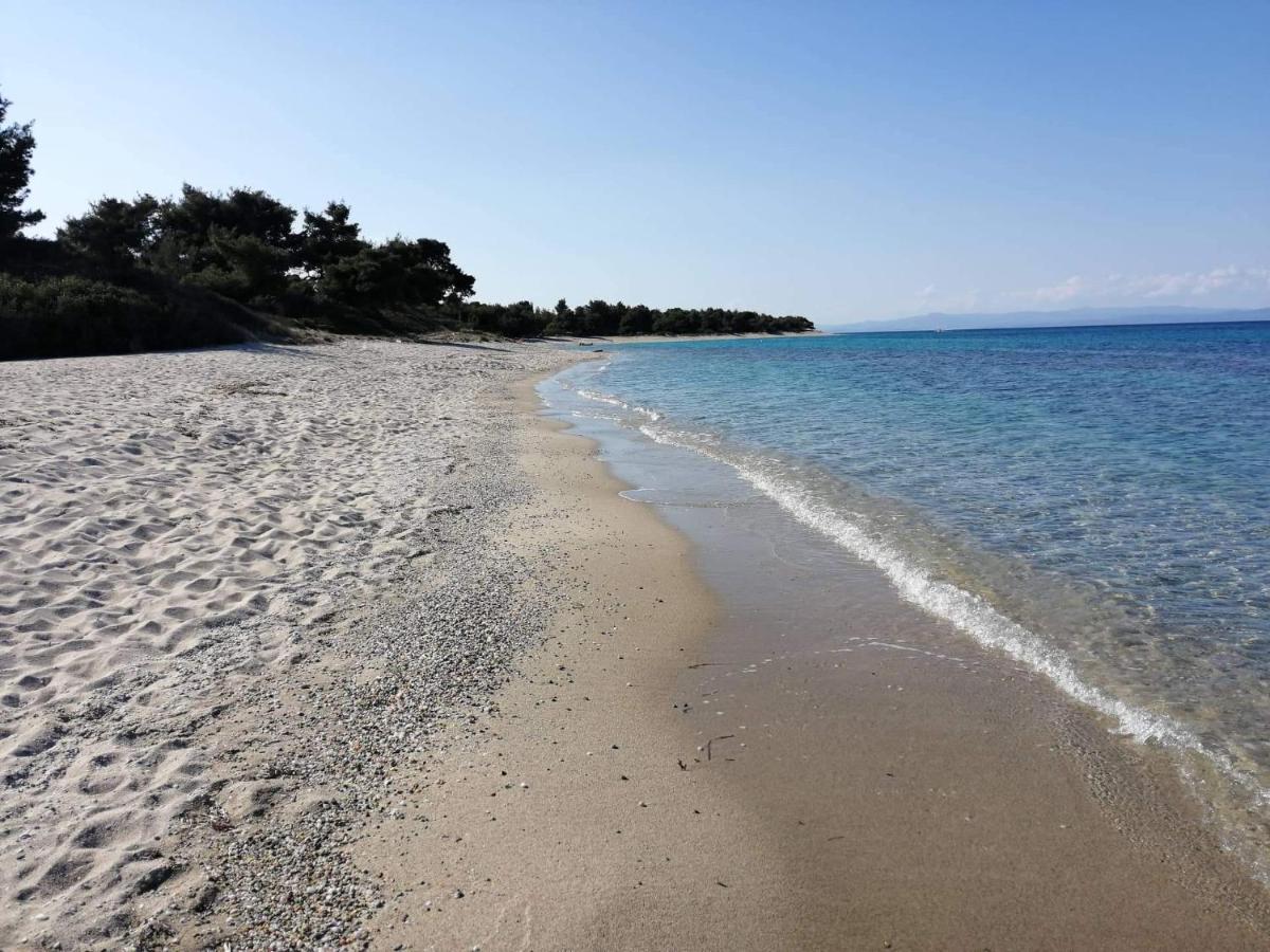 Seagull Villa Chalkidiki Pefkochori Exterior foto